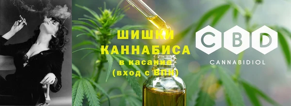 дмт Новозыбков