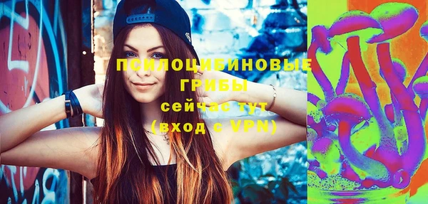 ГАЛЛЮЦИНОГЕННЫЕ ГРИБЫ Нефтекумск