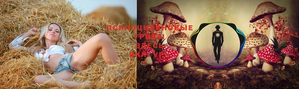 дмт Новозыбков
